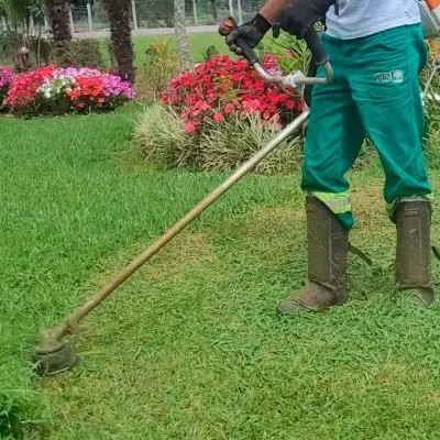 Área de chácara mantida pela equipe
